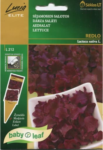 Lettuce "Redlo"